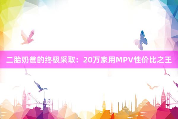 二胎奶爸的终极采取：20万家用MPV性价比之王